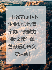 南京市中小企业协会圆满举办“聚微力·暖金陵”慈善献爱心暨义卖活动