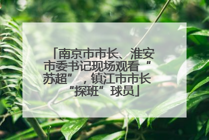 南京市市长、淮安市委书记现场观看“苏超”，镇江市市长“探班”球员