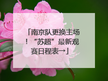 南京队更换主场！“苏超”最新观赛日程表→