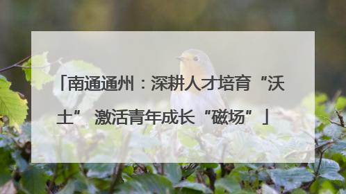 南通通州：深耕人才培育“沃土” 激活青年成长“磁场”