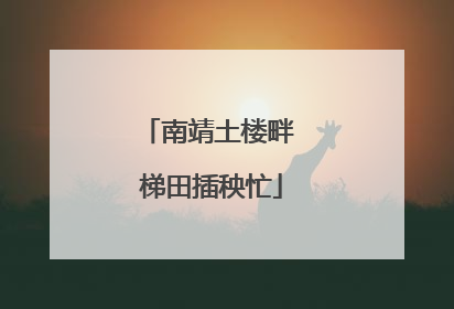 南靖土楼畔 梯田插秧忙