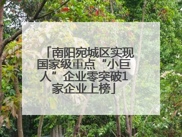 南阳宛城区实现国家级重点“小巨人”企业零突破1家企业上榜