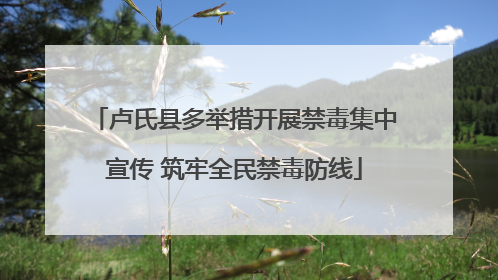 卢氏县多举措开展禁毒集中宣传 筑牢全民禁毒防线