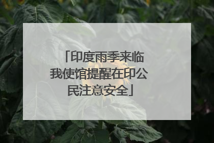 印度雨季来临 我使馆提醒在印公民注意安全