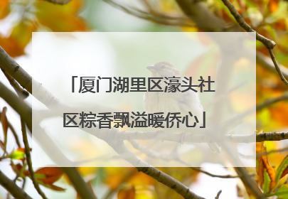 厦门湖里区濠头社区粽香飘溢暖侨心