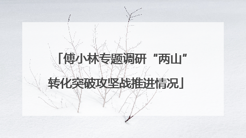 傅小林专题调研“两山”转化突破攻坚战推进情况