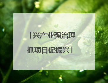 兴产业强治理 抓项目促振兴