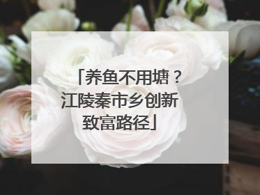 养鱼不用塘？江陵秦市乡创新致富路径