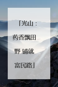 光山：药香飘田野 铺就富民路