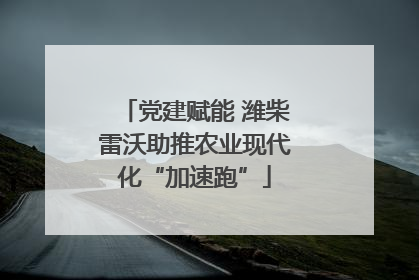党建赋能 潍柴雷沃助推农业现代化“加速跑”