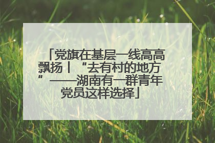 党旗在基层一线高高飘扬丨“去有村的地方”——湖南有一群青年党员这样选择