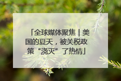 全球媒体聚焦｜美国的夏天，被关税政策“浇灭”了热情