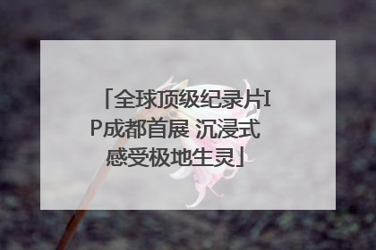 全球顶级纪录片IP成都首展 沉浸式感受极地生灵