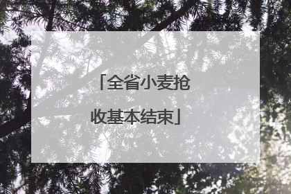 全省小麦抢收基本结束