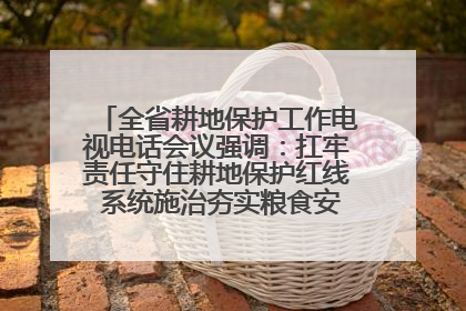 全省耕地保护工作电视电话会议强调：扛牢责任守住耕地保护红线 系统施治夯实粮食安全根基 王宁作出批示 王予波出席并讲话