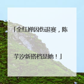 全红婵因伤退赛，陈芋汐新搭档是她！