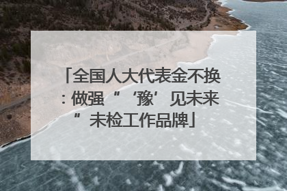 全国人大代表金不换：做强“‘豫’见未来”未检工作品牌