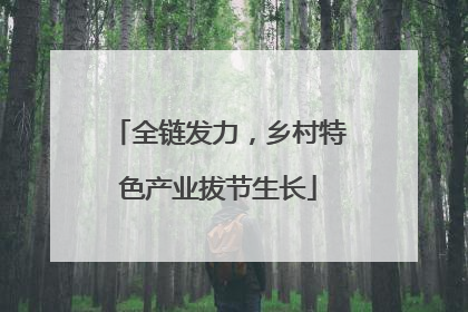 全链发力，乡村特色产业拔节生长