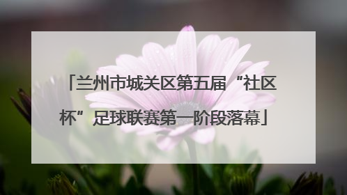 兰州市城关区第五届“社区杯”足球联赛第一阶段落幕