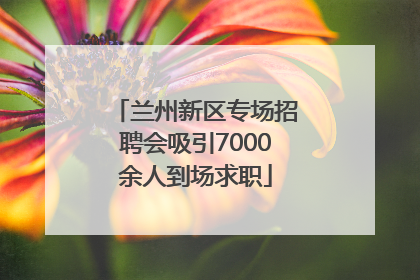 兰州新区专场招聘会吸引7000余人到场求职