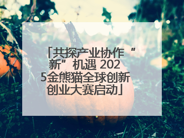 共探产业协作“新”机遇 2025金熊猫全球创新创业大赛启动