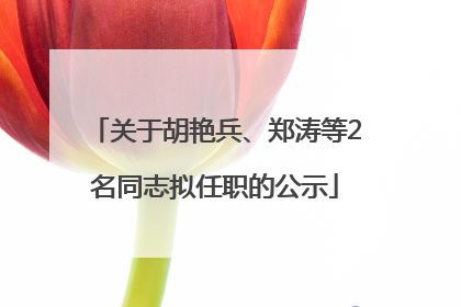 关于胡艳兵、郑涛等2名同志拟任职的公示