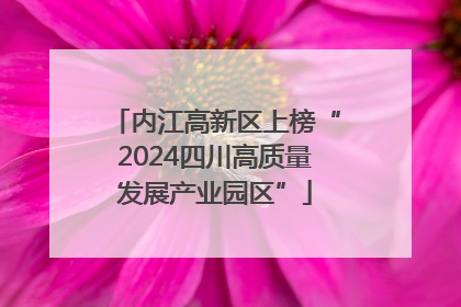 内江高新区上榜“2024四川高质量发展产业园区”