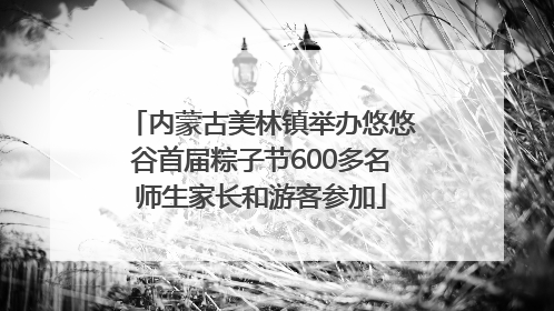 内蒙古美林镇举办悠悠谷首届粽子节600多名师生家长和游客参加