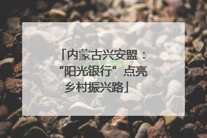 内蒙古兴安盟：“阳光银行”点亮乡村振兴路