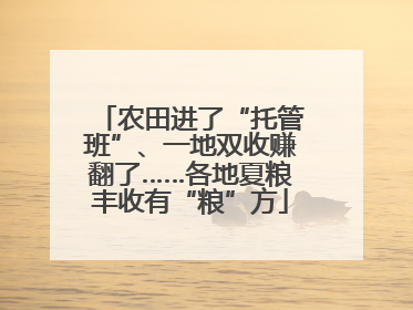 农田进了“托管班”、一地双收赚翻了……各地夏粮丰收有“粮”方