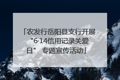 农发行岳阳县支行开展“6·14信用记录关爱日” 专题宣传活动