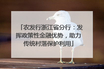 农发行浙江省分行：发挥政策性金融优势，助力传统村落保护利用