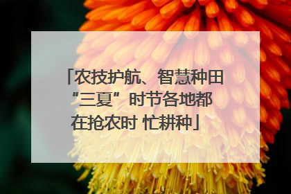 农技护航、智慧种田 “三夏”时节各地都在抢农时 忙耕种