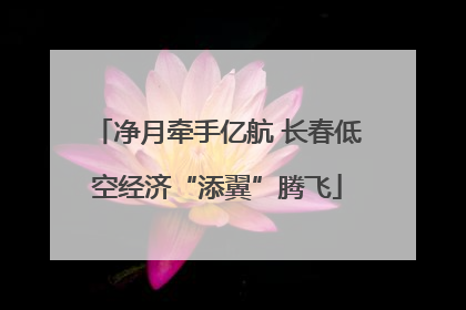 净月牵手亿航 长春低空经济“添翼”腾飞