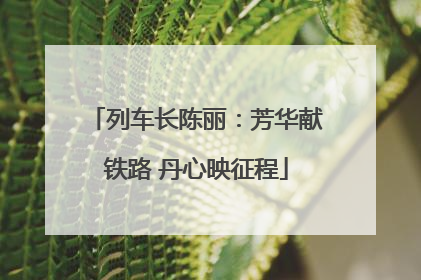 列车长陈丽：芳华献铁路 丹心映征程