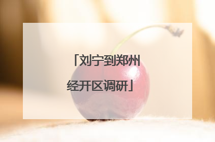 刘宁到郑州经开区调研