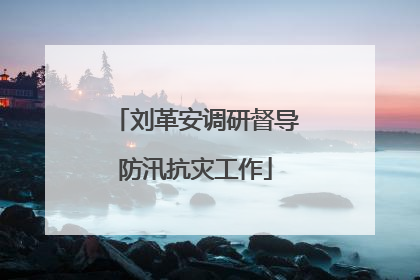刘革安调研督导防汛抗灾工作
