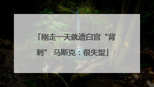 刚走一天就遭白宫“背刺” 马斯克：很失望