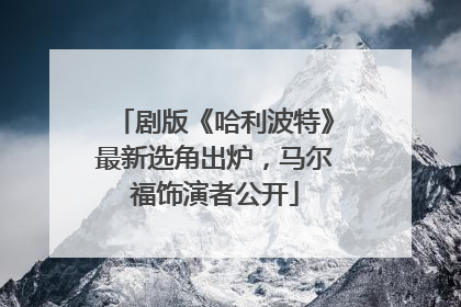 剧版《哈利波特》最新选角出炉，马尔福饰演者公开