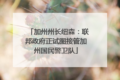 加州州长纽森：联邦政府正试图接管加州国民警卫队