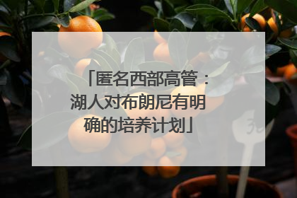 匿名西部高管：湖人对布朗尼有明确的培养计划