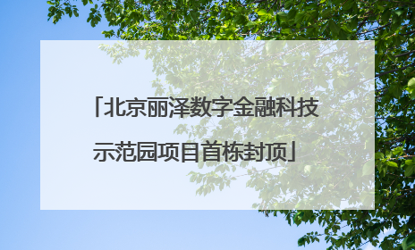 北京丽泽数字金融科技示范园项目首栋封顶