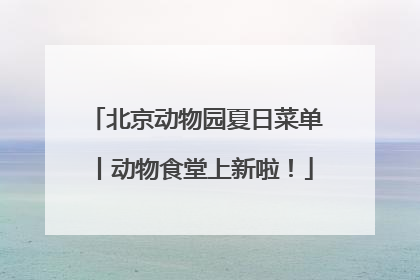 北京动物园夏日菜单丨动物食堂上新啦！