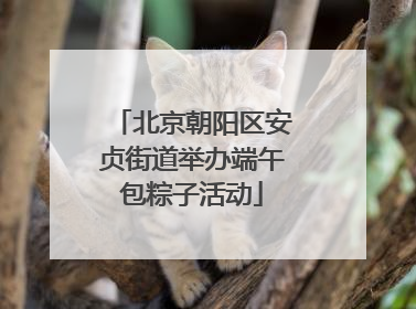 北京朝阳区安贞街道举办端午包粽子活动