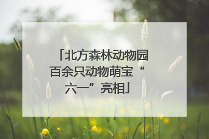 北方森林动物园百余只动物萌宝“六一”亮相