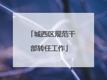 城西区规范干部转任工作