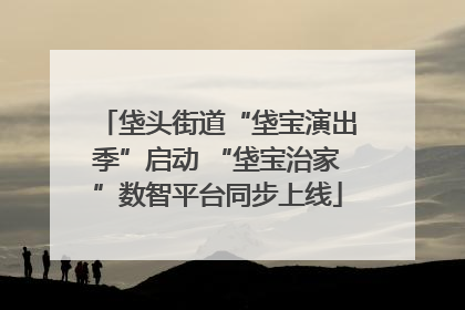 垡头街道“垡宝演出季”启动 “垡宝治家”数智平台同步上线