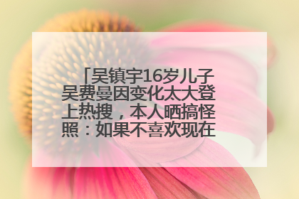 吴镇宇16岁儿子吴费曼因变化太大登上热搜，本人晒搞怪照：如果不喜欢现在的我可以离开