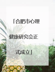 合肥市心理健康研究会正式成立