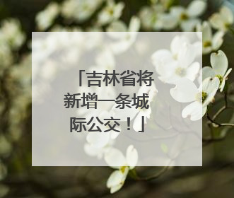 吉林省将新增一条城际公交！